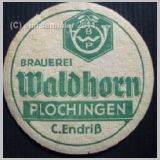 plochingenwalhorn (6).jpg